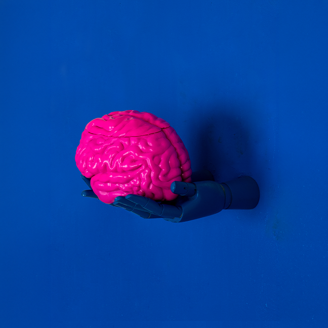 Scatter Brain exhibition