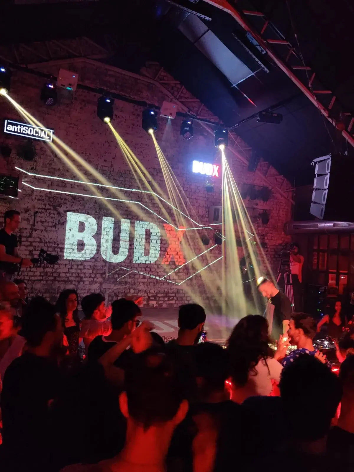 BUDX — BUDX, in the wild, image 5